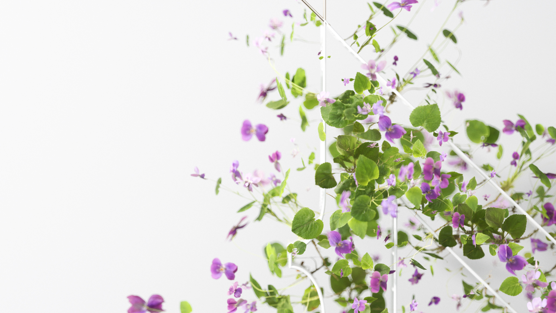 Rendering 101 Entagma