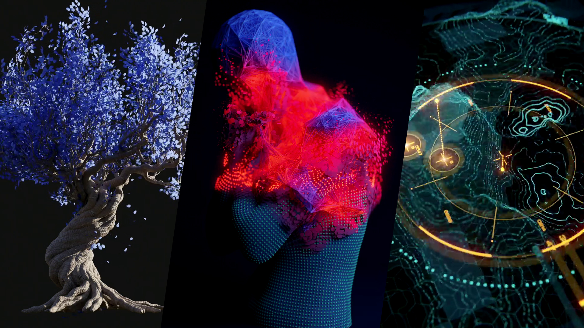 Entagma Advanced Cg Resources